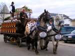 Noriker-Tigerschecken sind dem Rieder-Bierwagen vorgespannt; 080120