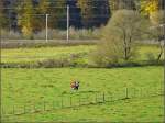 Die Bahnfotografen werden in der Nhe von Mecher/Clervaux scharf beobachtet. 04.11.08 (Jeanny)