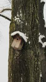 Ein Vogelhuschen zum Nisten am Stamm einer Linde.