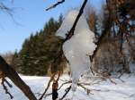  Eisseepferdchen  hat sich im Gest verfangen; 130126