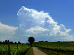 Gewitterwolken ber dem Schwarzwald, gesehen vom Tuniberg, Mai 2017