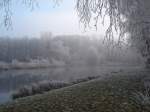 Winter in der Rheinebene,
am Mnstutsee,
Jan.2005