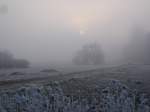 Winter in der Rheinebene,
die Sonne hat es schwer gegen den Nebel,
Jan.2005