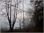 - Nebel - Dicker Nebel verhindert am 30.11.2011 die Aussicht auf den Stausee der Obersauer in der Nhe von Liefrange.