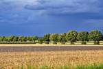 Baumreihe zwischen Sonne und Regen bei Euskirchen - 06.08.2012