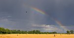 Abziehender Regenschauer, aufgenommen am 10.08.16 in Lembruch in Richtung Osten.