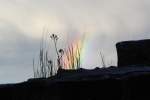 Abklingender Regenbogen am Gemäuer der Burgruine Bramberg,fotografiert am 14.05.2014