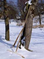 Holzrechen und Mistgabel warten auf die Schneeschmelze; 12021