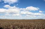 Landschaft im Sommer.