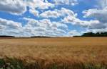 Wolken und Kornfeld bei Euskirchen - 09.07.2011