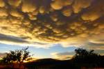 Nach einem kurzen,heftigen Regenschauer bildeten sich diese seltenen Mammatuswolken am Abend des 14.9.2015, aufgenommen am  Weinberg  bei Bischwind a.R., Stadt Ebern Kreis Haßberge