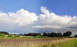 Am 10.08.16 ziehen Schauerwolken zwischen Diepholz und Lembruch in Richtung Osten vorbei, aufgenommen südlich von Diepholz.