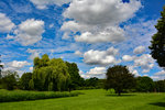 Sommerwolken und Bäume in der Erftaue Euskirchen - 28.06.2016