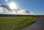 Gegenlicht - Wolken - Feld - Wald in der Voreifel - 18.11.2016