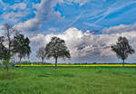 Natur pur, Wiese, Rapsfeld, Bäume und Wolken am 05.05.2023