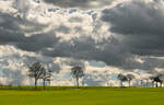 Eifelwetter mit tiefen Wolken bei Euskirchen-Billig - 22.03.2025