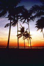 Sonnenuntergang in Goa.