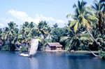 Die Backwaters in Kerala umfassen 29 größere Seen und Lagunen, 44 Flüsse sowie insgesamt rund 1500 Kilometer lange Kanäle und natürliche Wasserstraßen. Bild vom Dia. Aufnahme: Dezember 1988.