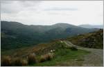 Bergweiden bei Glengariff, Irland Co.