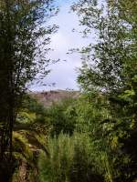 Durchblick vom Bambuspark auf die Berge der Umgebung