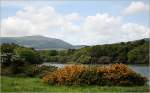 Landschaft am Ring of Beara (tlw. Co. Cork bzw. Co. Kerry) - Zufahrt zum Dunboy Castle, westlich von Castletownbere, Co. Kerry, Irland.