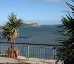 Palmenumahmter Blick auf Ireland's Eye.