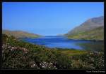 An Caolire Rua - Killary Harbour - Connemara Fjord, Irland County Galway