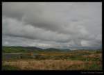 Stechginster Hgel in Connemara bei Cleggan, Irland County Galway