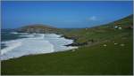 Am Slea Head, einer der Aussichtspunkte von Dingle.
(18.04.2013)