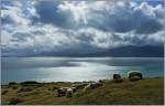 Irische Schafsruhe vor dem nchsten Regen...
(20.04.2013)