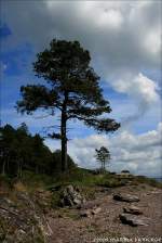 Kste am Ring of Kerry, Irland Co.