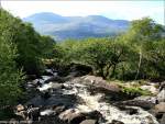 Gebirgsbach im Killarney Nationalpark, Irland Co. Kerry (an der N71 zwischen Killarney und Kenmare).