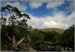 Traumhaft schn... Killarney Nationalpark, Irland Co. Kerry