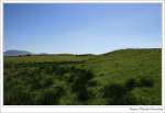 Weiden bei Ballycroy im County Mayo, Irland