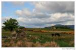 Unterwegs in Claggan - Irland County Mayo