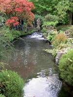 Bachlauf im Japanischen Garten im Nationalgestüt in Kildare (13.10.2007)