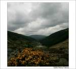 Wicklow Mountains - Blick in ein Tal bei Glendalough, Irland.