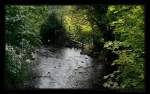 Blick von einer kleinen Brcke - Meeting of the Waters, Irland County Wicklow.