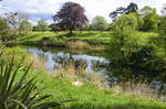 People's Garden im Phönix Park östlich vom Dubliner Stadtzentrum.