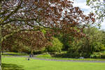 Der Phoenix Park   ist eine große Parkanlage 3 km nordwestlich des Stadtzentrums von Dublin.