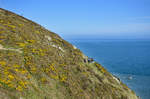 Blick vom Küstenpfad entlang der Ostseite des Howth Head auf der Halbinsel östlich von Dublin.