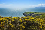 Auf der Halbinsel von Howth - Unweit von Dublin bietet diese Rundwanderung inmitten der typisch irischen Landschaft eine wunderschöne Aussicht über das offene Meer, die beeindruckende Steilküste und die Bucht von Dublin. Aufnahme: 12. Mai 2018.