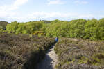 Der Wanderweg zwischen der Süd- bzw.