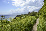 Howth Cliff Walk auf der Halbinsel östlich von Dublin.
Aufnahme: 12. Mai 2018.