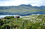 Lagarfljót südlich von Egilsstaðir. Bild vom Dia. Aufnahme: Juli 1995.
