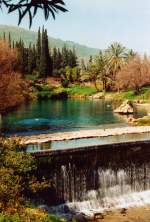 Der israelische Nationalpark Gan haSchloscha. Das Time Magazine hat den Park zum schönsten Ort Israels und einem der zwanzig exotischsten Plätze der Welt gewählt. Aufnahme: Februar 1988 (digitalisiertes Negativfoto).