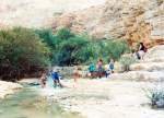 Ein Gedi ist eine wasserreiche Oase im nördlichen Teil der israelischen Wüste Negev.