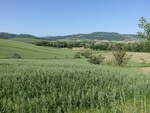 Hügellandschaft bei Proceno, Provinz Viterbo (21.05.2022)