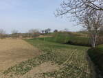 Felder bei Corridonia, Provinz Marken (29.03.2022)
