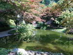 Bellagio, kleiner Teich im Landschaftspark der Villa Melzi (21.09.2018)